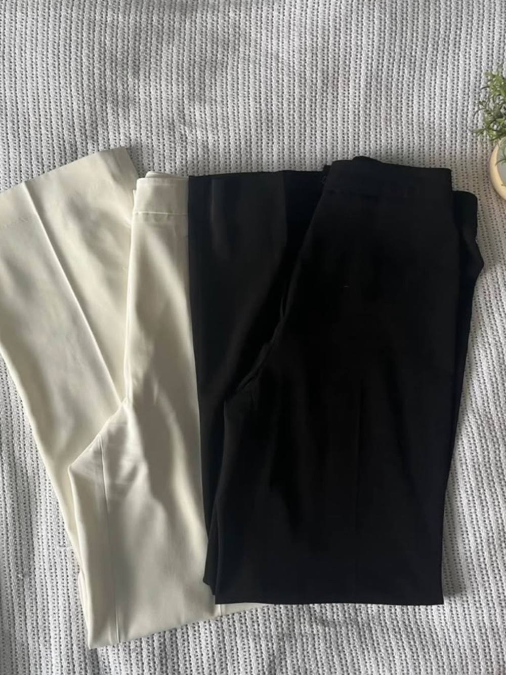 Straight Leg Slacks